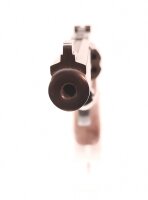Revolver Taurus - 96 - Note 2  - schwarze Ausf&uuml;hrung, sch&ouml;ne Holzgriffschalen f&uuml;r beidh&auml;ndige Nutzung