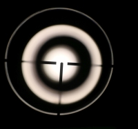 Einzellader Büchse ZBROJOVKA BRNO - ZBK 110 - Note 3  - Raubwildwaffe von BRNO Arms, ZBK 110 mit .22Hornet, Kipplaufbüchse (Einzellader), mit Zielfernrohr Lisenfeld Jaguar 6x42, unbeleuchtet, Kunststoffschaftkappe, offene Visierung ist erhalten geblieben 