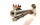 Einzellader B&uuml;chse Marlin - 883 SS - Note 2  - MARLIN 883 SS Einzelladerb&uuml;chse (Umbau von B&uuml;ma von Mehrlader auf Einzellader), stainless Lauf, Groove Barrel, Kaliber .22 Magnum (.22 WMR), R&ouml;hrenmagazin (prof. gesperrt), Schiebekimme, orangefarbenes Korn m