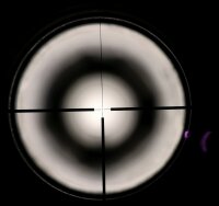 Repetierb&uuml;chse Haenel - J&auml;ger 10 - Neuwertig - neuweriges Ausstellungsst&uuml;ck, Haenel J&auml;ger 10 Varmint Sporter, mit Semiwightlauf und M&uuml;ndungsgewinde 15x1, Picatinny-Schiene, montiertes ZF von AKAH (ebenfalls neuwertig) mit Leuchtpunkt, Adapter Pin f&uuml;r Zwei